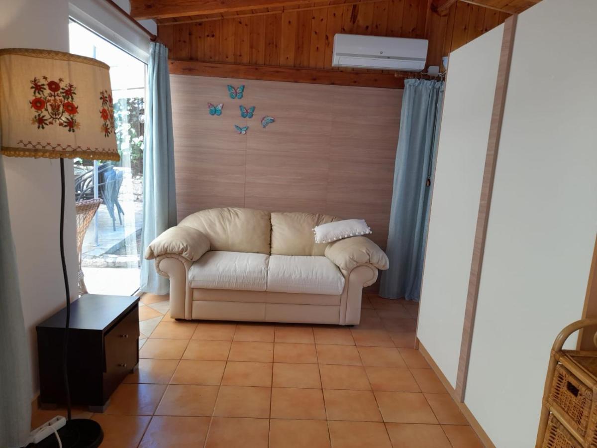 Katia Case de vacanță
